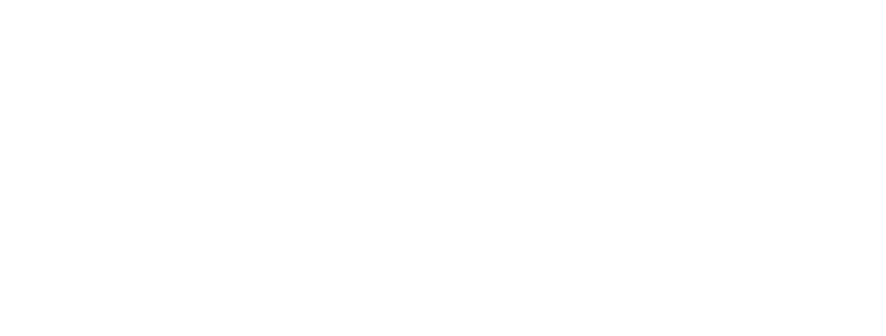 DMC Logo